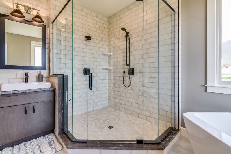 Frameless Shower Door